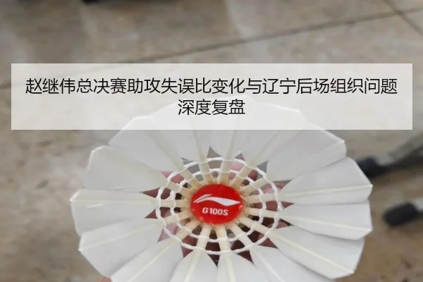 赵继伟总决赛助攻失误比变化与辽宁后场组织问题深度复盘